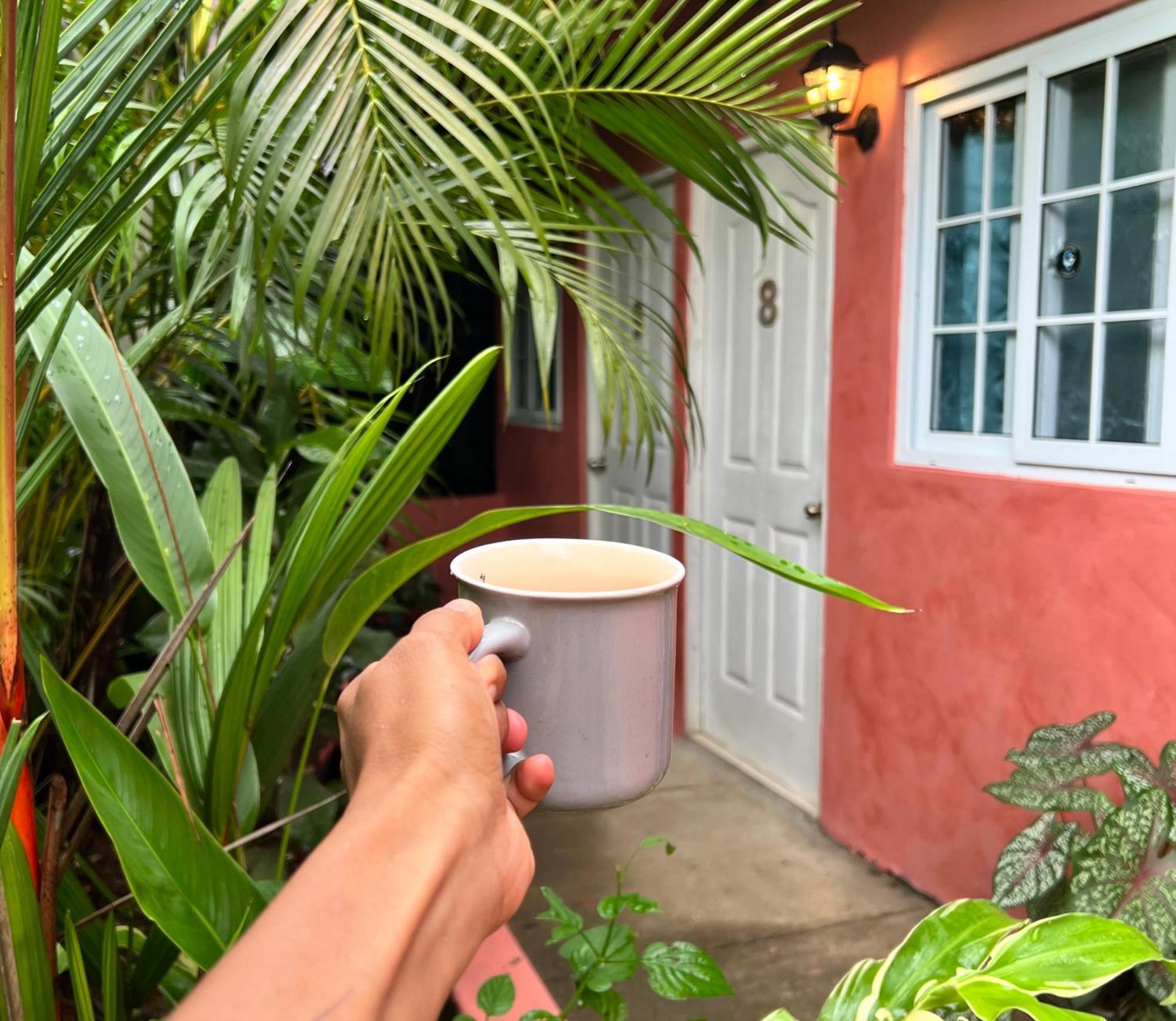 Hostal & Cafe Travelers Santiago Ngoại thất bức ảnh